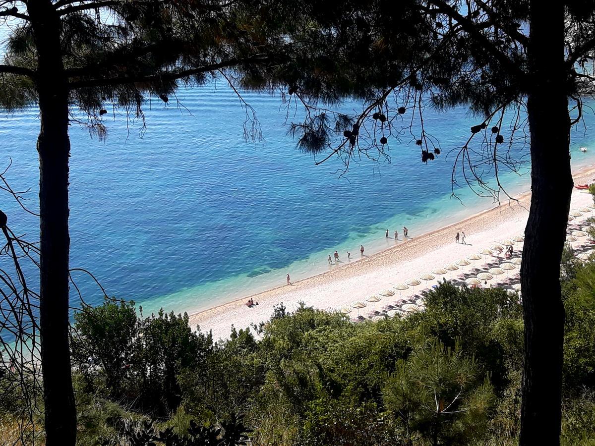 Numana appartamenti: la tua casa in centro a pochi passi dal mare Esterno foto
